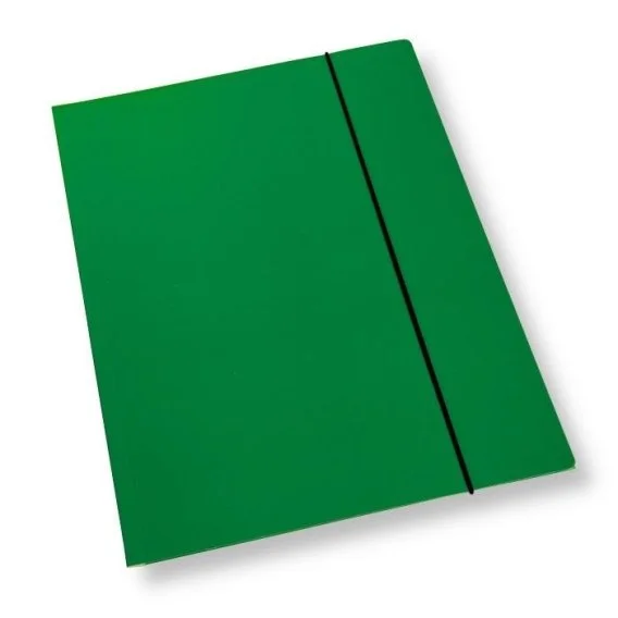 edukamp-32026061202512269852