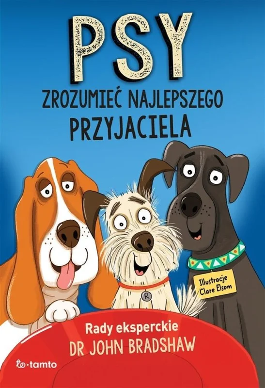 edukamp-32026061202585970383
