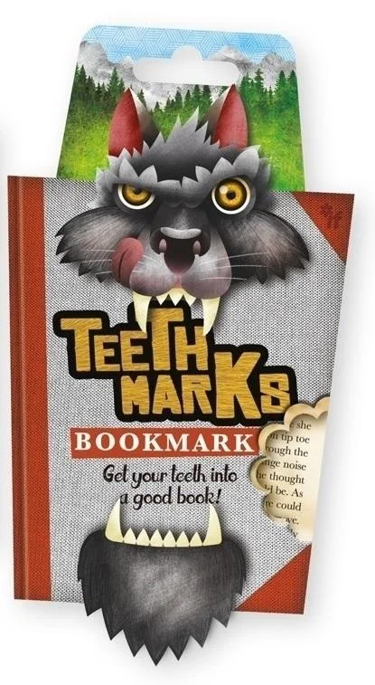 edukamp-32026061203233272105