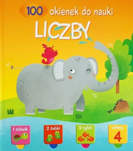 edukamp-32026061207221587152