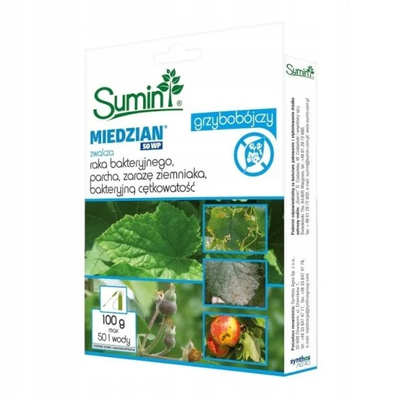 edukamp-32026061209471793461