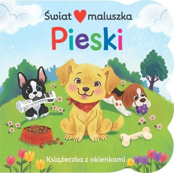 edukamp-320260612163701129849
