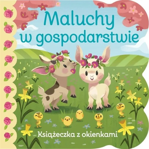 edukamp-320260612163720129861