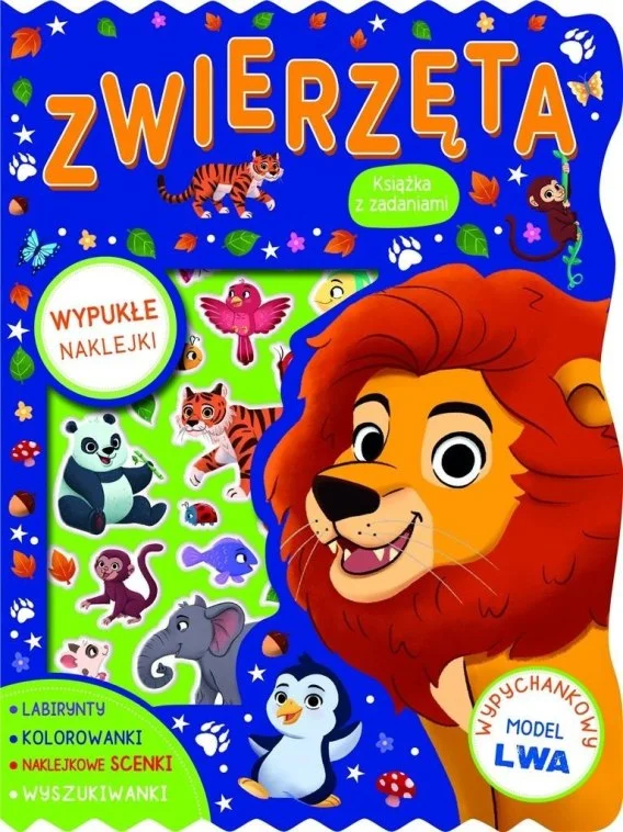 edukamp-320260612163925129936