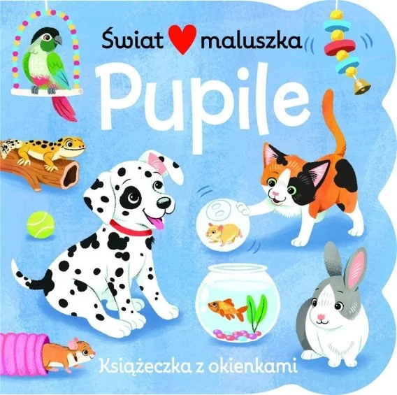 edukamp-320260612163945129948