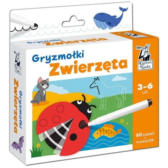 edukamp-320260612174804137710