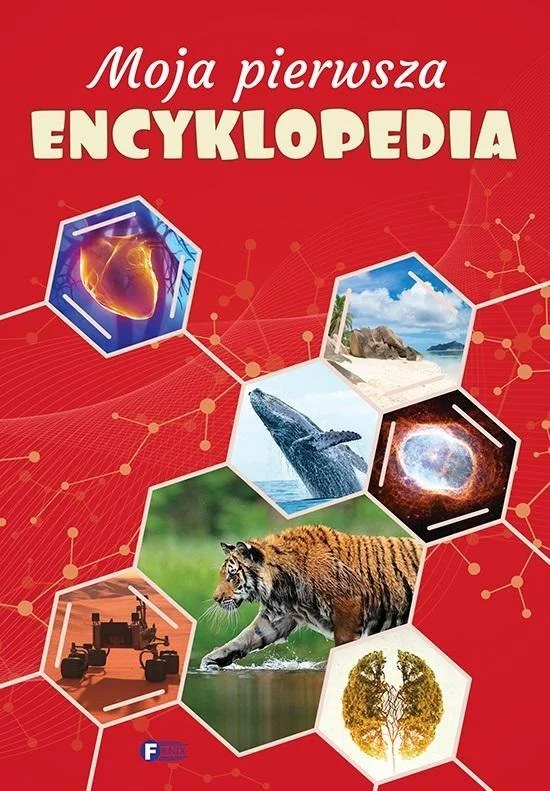 edukamp-320260612185636147870