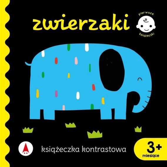 edukamp-4202606101844303613075