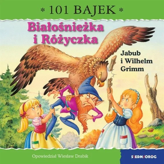 edukamp-4202606110249173648337