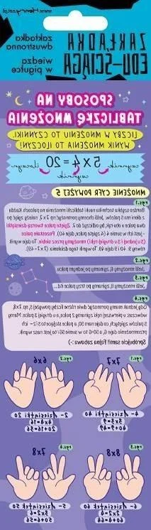 edukamp-4202606111142367297
