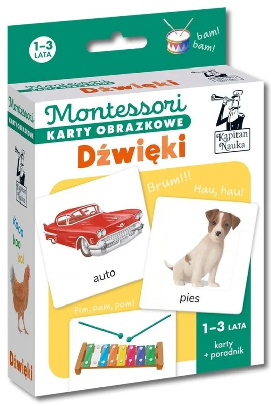 edukamp-42026061200591861568