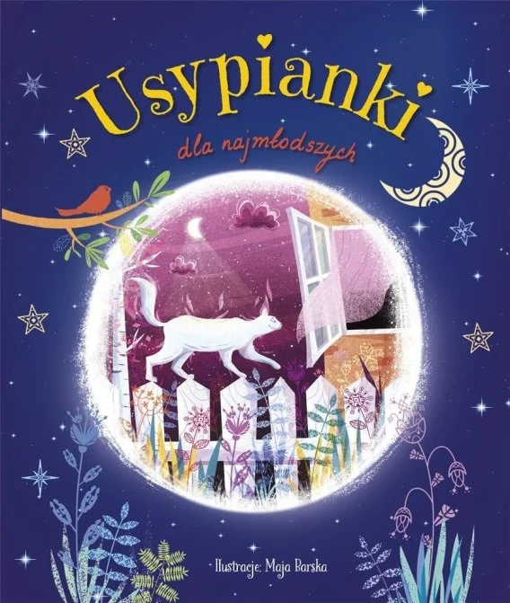edukamp-42026061205351781677