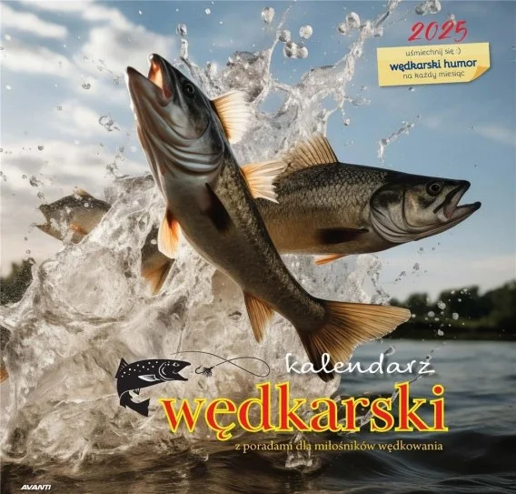 edukamp-420260612105259104336