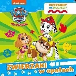 edukamp-420260612122254116734
