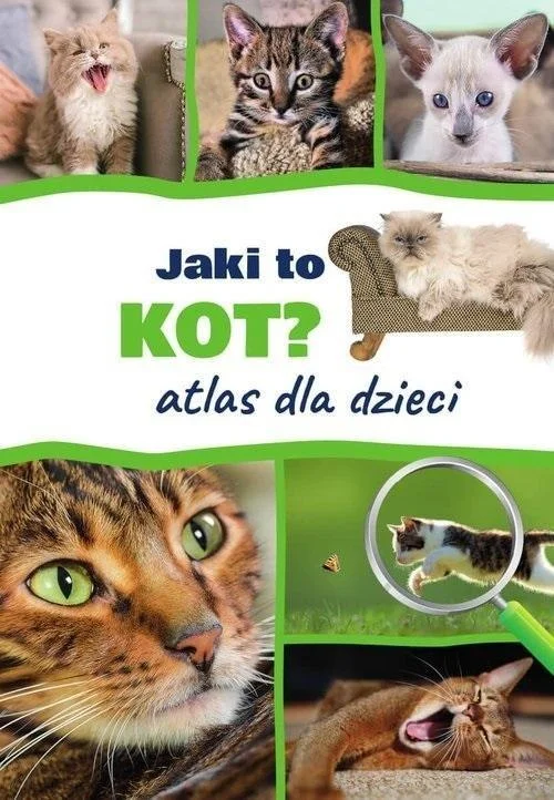 edukamp-420260612122538116918