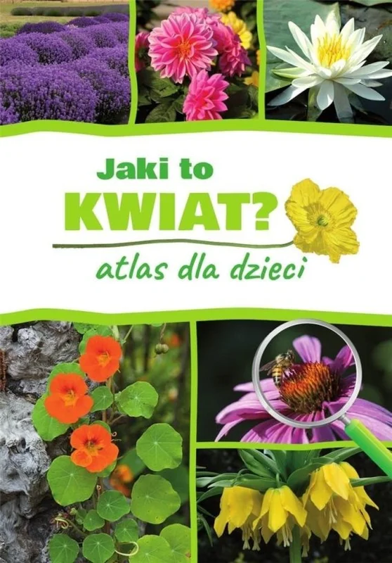 edukamp-420260612122837117127