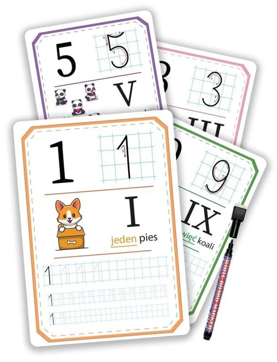 edukamp-420260612193351153193
