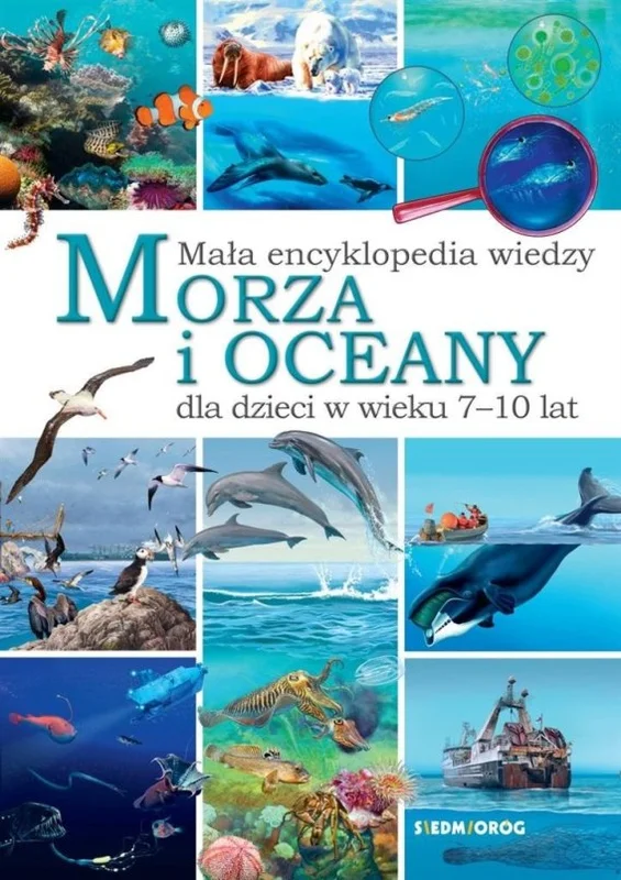 edukamp-420260613055201233441