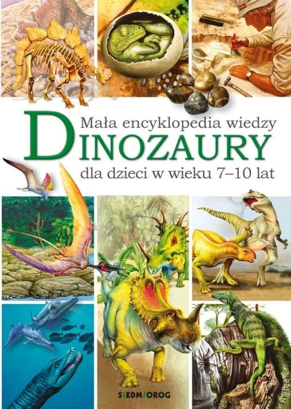edukamp-420260613055645233973
