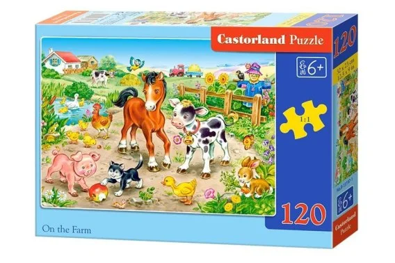 edukamp-420260613061458235859