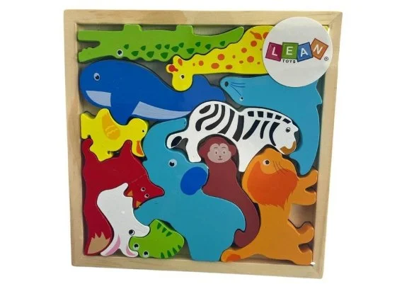 edukamp-420260613080619246595