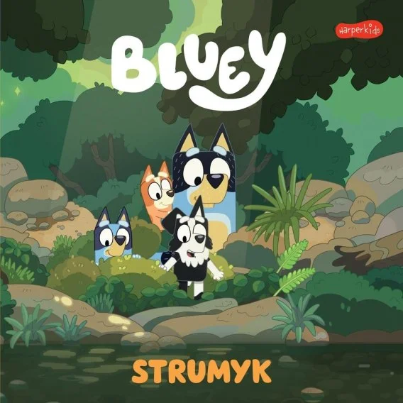 edukamp-420260613121045258067