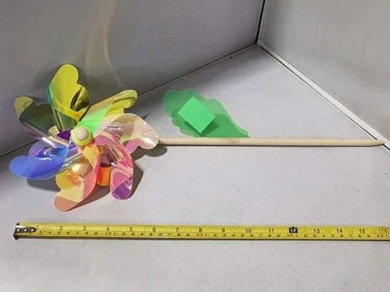 edukamp-420260613140831268368