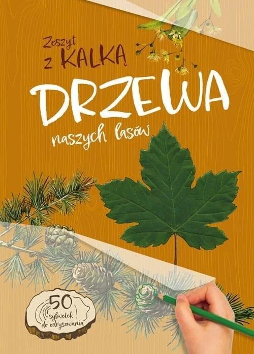 edukamp-420260614010428353592