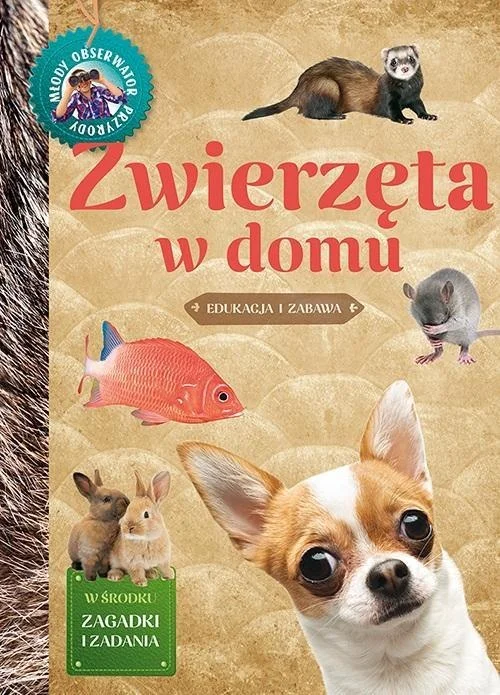 edukamp-420260614040121370994
