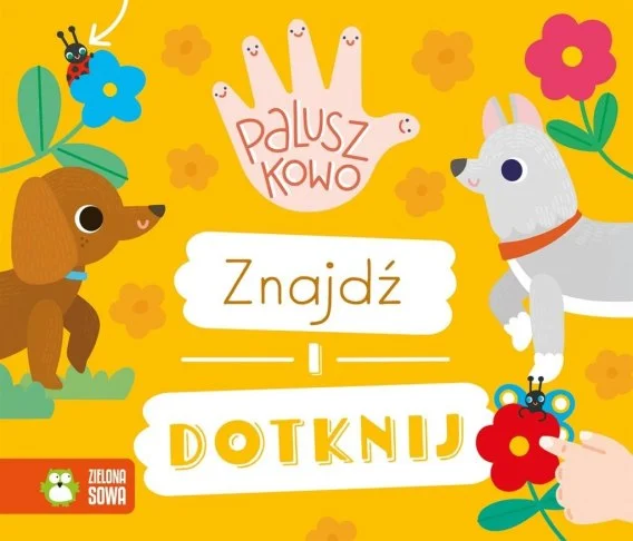 edukamp-420260614074817382524