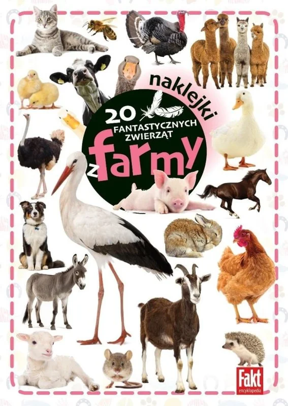 edukamp-420260614085823385419