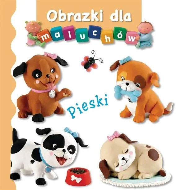 edukamp-420260614100326388223