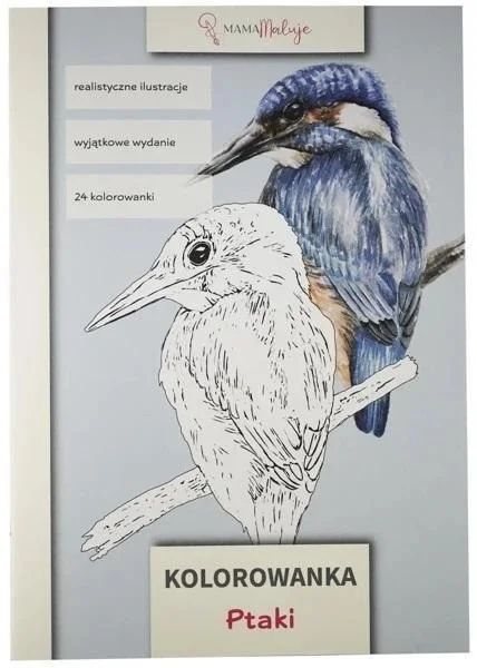 edukamp-420260614130830396696
