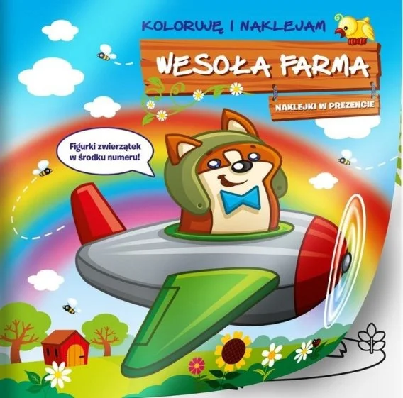 edukamp-420260614231324487343