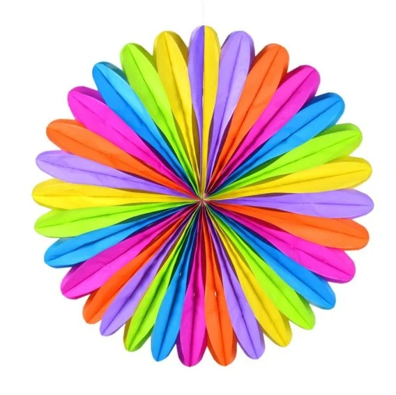 edukamp-420260615010810493595