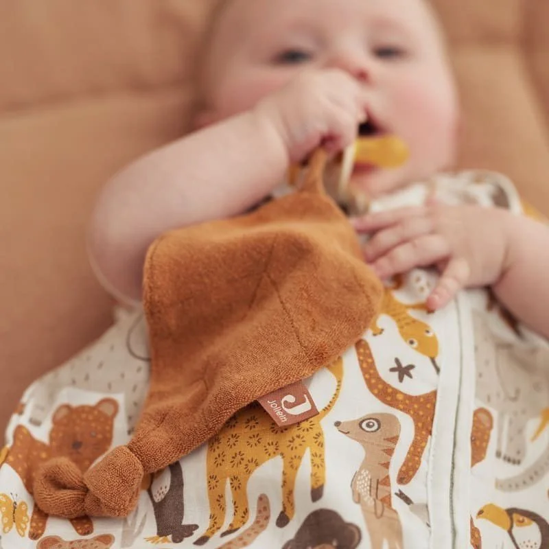 leantoys202606101414573569242