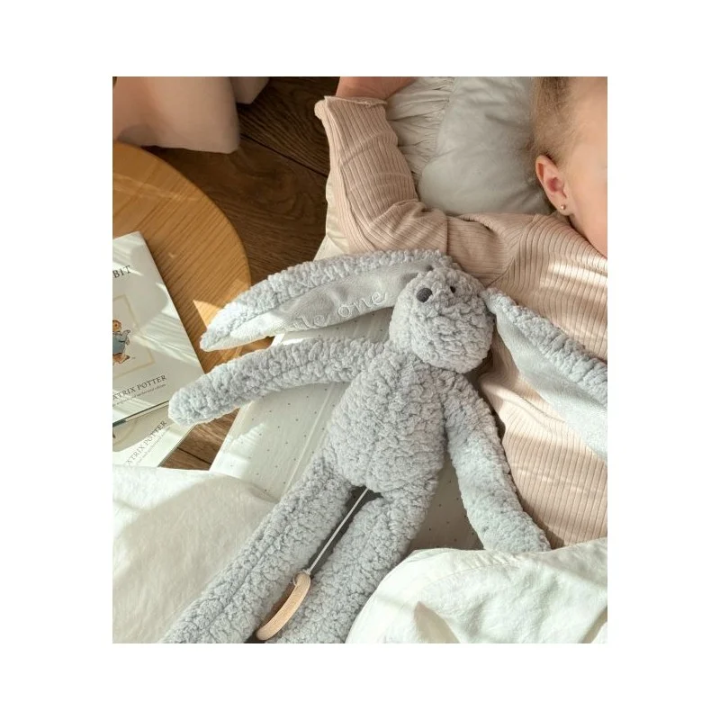 leantoys202606101509073578047
