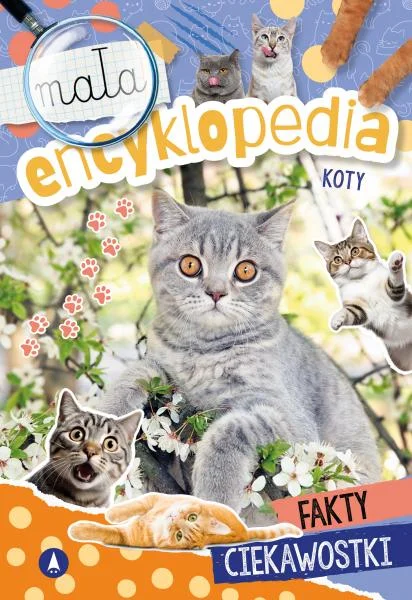 yupi2026061201530565667