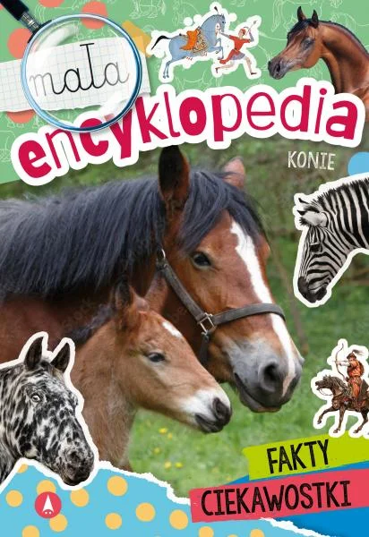 yupi2026061201582466095